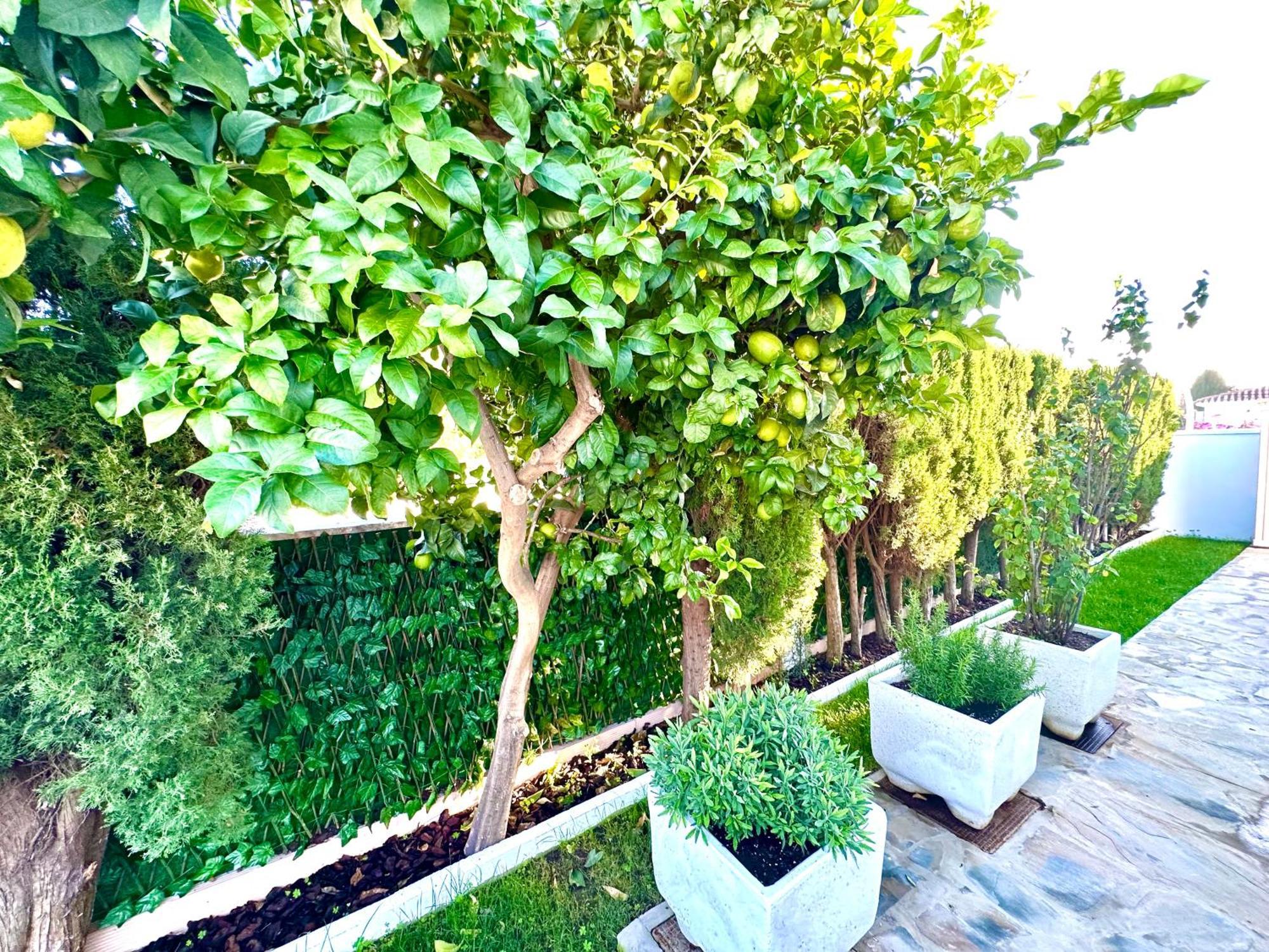 Villa Casacara Marbella Beachside Costabella -Spain المظهر الخارجي الصورة